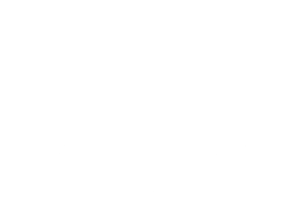 Wall 2 Wall Home Inspections logo